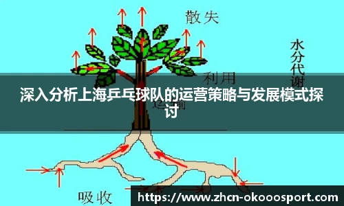 深入分析上海乒乓球队的运营策略与发展模式探讨